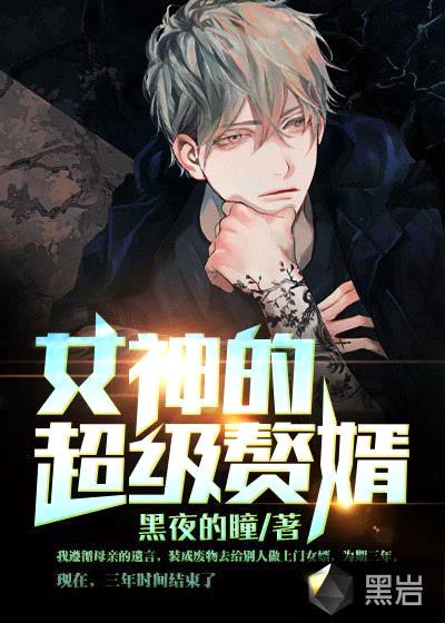 林阳苏颜封面