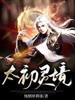 太初灵境封面