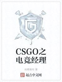 CSGO之电竞经理封面