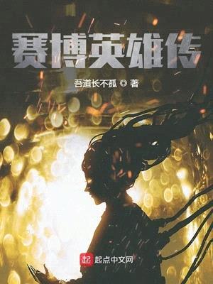 赛博英雄传封面