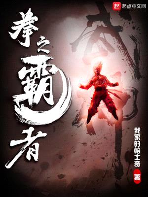 拳之霸者封面